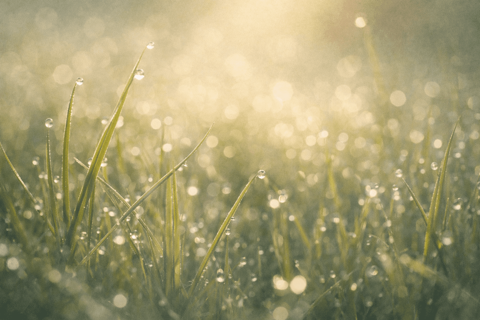 Pay Attention to the Simple Things